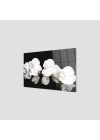Decovetro Ocak Arkası Koruyucu Beyaz Orkide Desenli 60x40cm