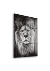 Decovetro Aslan Desenli Cam Tablo 30x40 cm