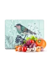 Decovetro Cam Kesme Tahtası ve Sunumluk Kuş Çiçek Renk Desenli 20x30 Cm