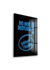 Decovetro Cam Tablo Do Not Disturb Yazılı 30x40 cm