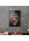 Decovetro Cam Tablo Eğlenceli Maymun 30x40 cm