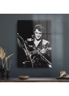 Decovetro Cam Tablo Elvis Presley 50x70 cm