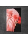 Decovetro Cam Tablo Flamingo 30x40 cm