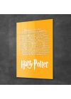 Decovetro Cam Tablo Harry Potter All Magic 50x70 cm