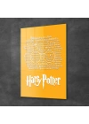 Decovetro Cam Tablo Harry Potter All Magic 70x100 cm