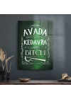 Decovetro Cam Tablo Harry Potter Avada Kedavra 50x70 cm