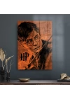 Decovetro Cam Tablo Harry Potter Poster 50x70 cm