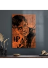 Decovetro Cam Tablo Harry Potter Poster 70x100 cm