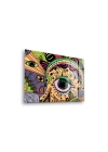 Decovetro Cam Tablo Pop Art Colour Eye 70x100 cm