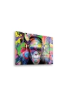 Decovetro Cam Tablo Pop Art Funny Monkey 30x40 cm