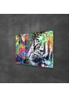 Decovetro Cam Tablo Pop Art Tiger 50x70 cm