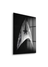 Decovetro Cam Tablo Star Trek Logo 30x40 cm