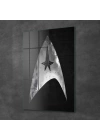 Decovetro Cam Tablo Star Trek Logo 30x40 cm