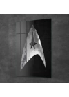 Decovetro Cam Tablo Star Trek Logo 70x100 cm