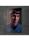 Decovetro Cam Tablo Star Trek Mr. Spock 50x70 cm