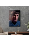 Decovetro Cam Tablo Star Trek Mr. Spock 50x70 cm