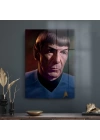 Decovetro Cam Tablo Star Trek Mr. Spock 50x70 cm