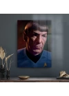Decovetro Cam Tablo Star Trek Mr. Spock 70x100 cm