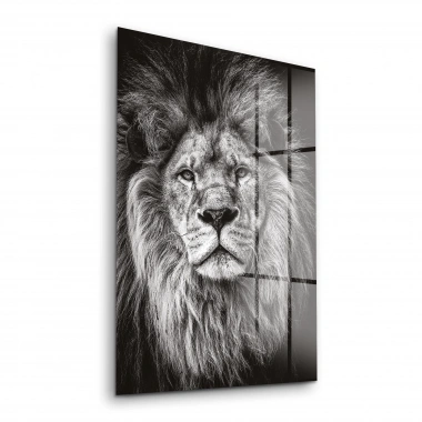 Decovetro Aslan Desenli Cam Tablo 30x40 cm