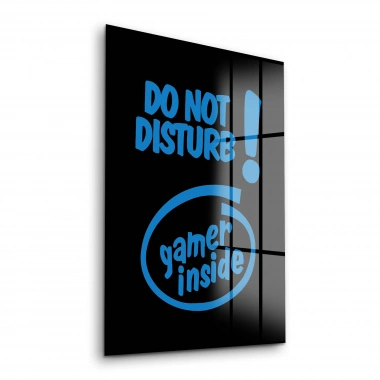 Decovetro Cam Tablo Do Not Disturb Yazılı 30x40 cm