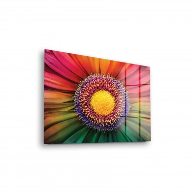 Decovetro Cam Tablo Gökkuşağı Papatya 70x100 cm
