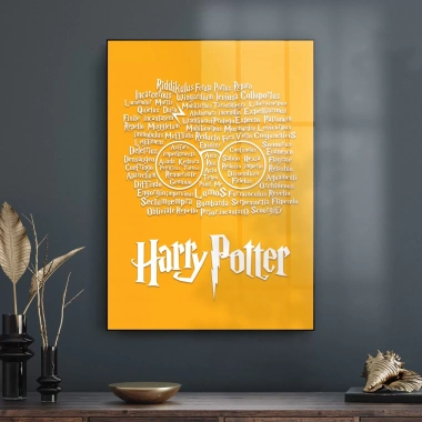 Decovetro Cam Tablo Harry Potter All Magic 50x70 cm