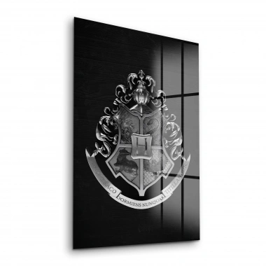 Decovetro Cam Tablo Harry Potter Hogwarts Logo 30x40 cm