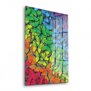Decovetro Cam Tablo Renkli Kelebekler 30x40 cm