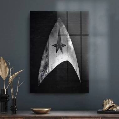 Decovetro Cam Tablo Star Trek Logo 70x100 cm