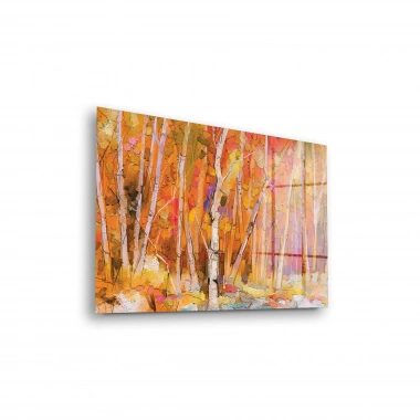 Decovetro Cam Tablo TBY-4250 - 70x100 cm