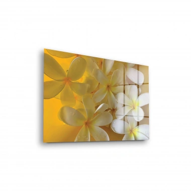 Decovetro Cam Tablo White Lily Desenli 30x40 cm