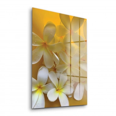 Decovetro Cam Tablo White Lily Desenli 30x40 cm