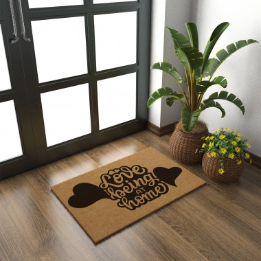 Decovetro Paspas Love Home Desenli Kapı Önü Paspası40 x 60 Cm