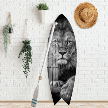 Decovetro ST 4095 Dekoratif Cam Sörf Tahtası 33x100 Cm