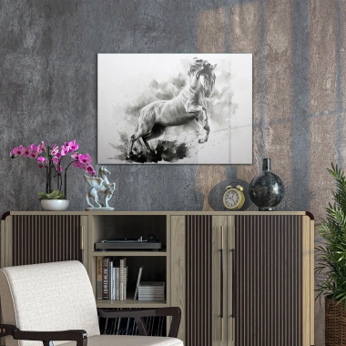 Decovetro Cam Tablo Siyah Beyaz At 50x70 cm