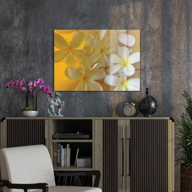 Decovetro Cam Tablo White Lily Desenli 50x70 cm