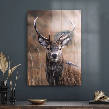 Decovetro Erkek Geyik Cam Tablo 70x100 cm