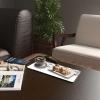 Decovetro Cam Kahve Sofra Sunum Tablası 2li Set Marine Black Fish