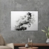 Decovetro Cam Tablo Siyah Beyaz At 50x70 cm