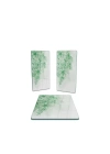 Decovetro Cam Sunum Servis Tabağı 3lü Dikdörtgen Set Yeşil Çiçek Deseni