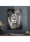 Decovetro Aslan Desenli Cam Tablo 50x70 cm