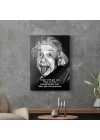 Decovetro Cam Tablo Albert Einstein Funny 50x70 cm