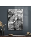 Decovetro Cam Tablo Siyah Beyaz Fil 50x70 cm
