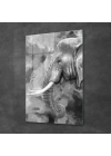 Decovetro Cam Tablo Siyah Beyaz Fil 70x100 cm