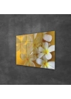 Decovetro Cam Tablo White Lily Desenli 30x40 cm