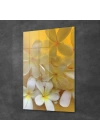 Decovetro Cam Tablo White Lily Desenli 70x100 cm