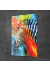 Decovetro Cam Tablo Zebra Desenli 50x70 cm