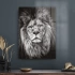 Decovetro Aslan Desenli Cam Tablo 70x100 cm