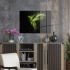 Decovetro Cam Tablo Cennet Papağanı 70x100 cm