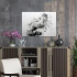Decovetro Cam Tablo Siyah Beyaz At 70x100 cm